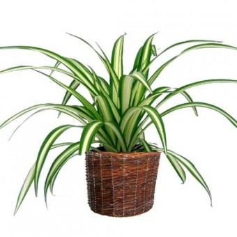 121018 Le bol d'air.jpg