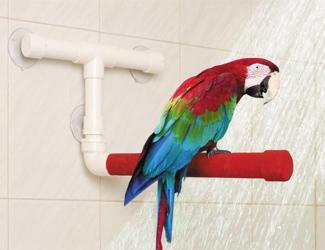 Colporteur de rumeurs, une nouvelle compétence du journaliste multi-médias ?