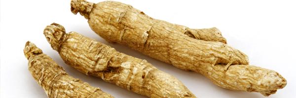 Les 5 indispensables pour votre cure d’automne.