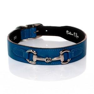 collier bleu cobalt chien