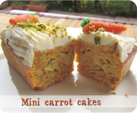 mini carrot cake (scrap2)