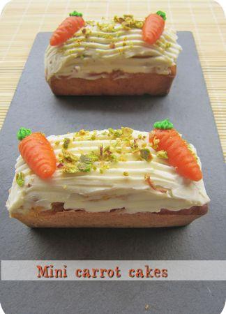 mini carrot cake (scrap3)
