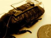 vous avez cafard, pourra sauver vie.