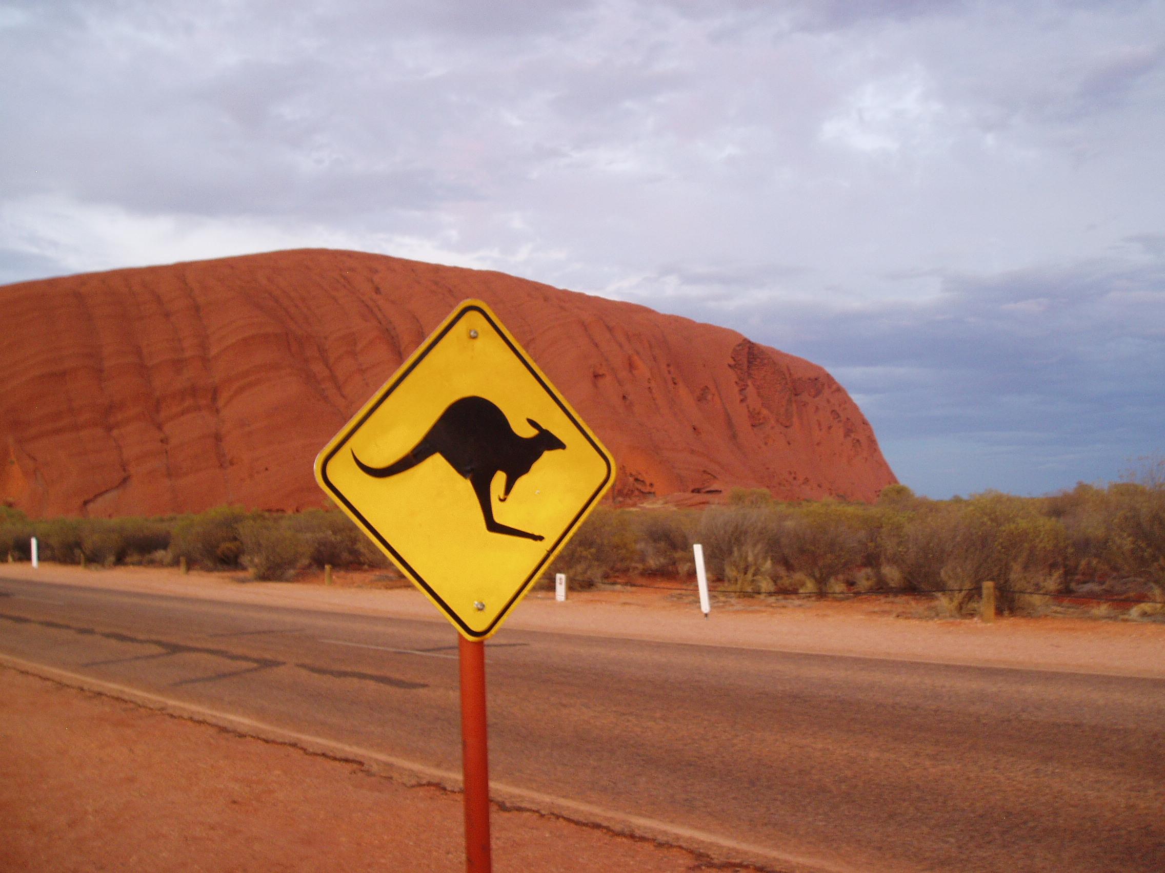 Actualité de Zap-actu