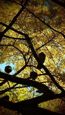 Japonisme : 秋 暑さ - Chaleur d'automne