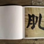 Un belge infiltre la mafia japonaise !