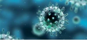 VIRUS: L’empêcher de faire sa valise, la nouvelle stratégie antivirale – PNAS