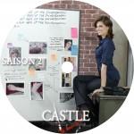 label Castle Saison2 1 150x150 [Flash back] Castle, saison 1 & 2