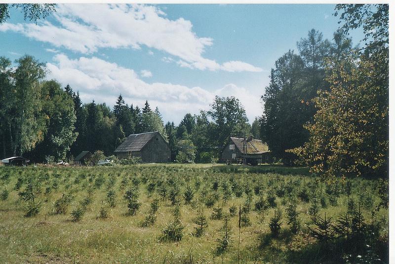 pines farm Riga