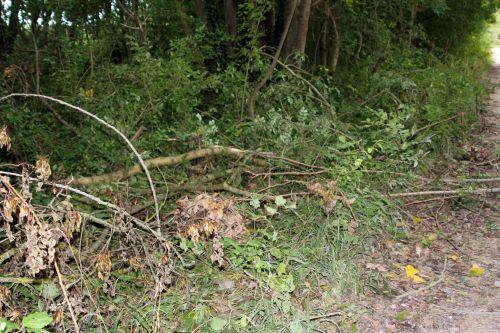 2 romilly 28 sept 2012 044.jpg