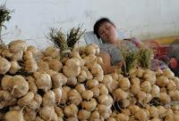 Un Rungis Thaïlandais : Portraits