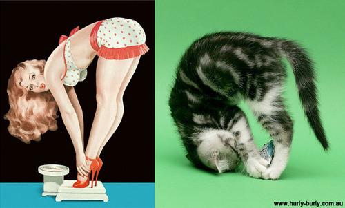 lolcat chat pin up