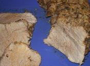 recettes, réalisations