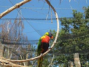 Villars-les-Dombes 0333 1