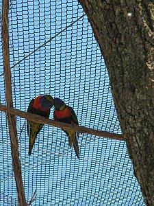 Villars-les-Dombes 0332