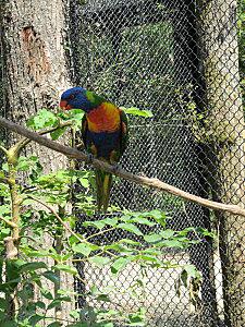 Villars-les-Dombes 0326