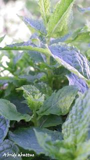 Masterchef, une cuisine qui semble en dehors des réalités