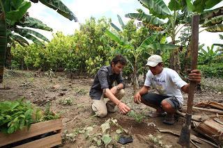 Marre du réchauffement climatique ? Planter vos arbres avec Pur Projet...