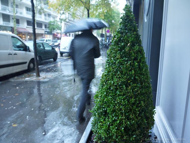 AUTOMNE - Projet Photo 52 (semaine # 42)