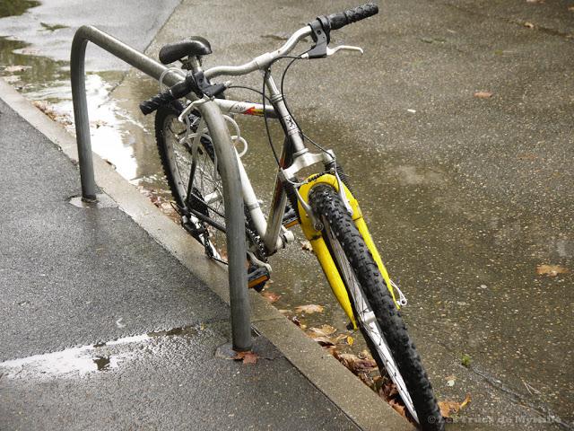 AUTOMNE - Projet Photo 52 (semaine # 42)