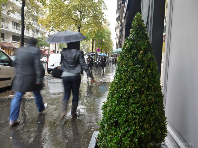 AUTOMNE - Projet Photo 52 (semaine # 42)