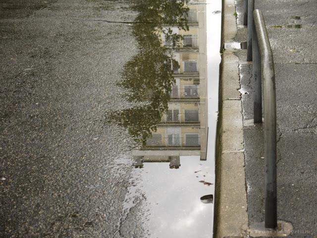 AUTOMNE - Projet Photo 52 (semaine # 42)