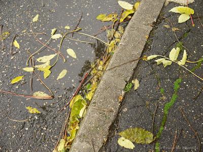 AUTOMNE - Projet Photo 52 (semaine # 42)