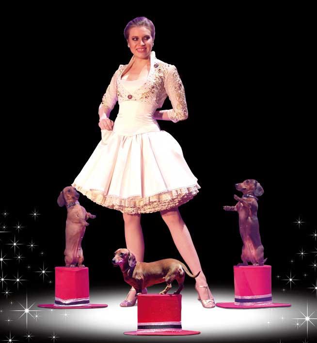 Nouveau spectacle Eclat au cirque d’hiver Bouglione !