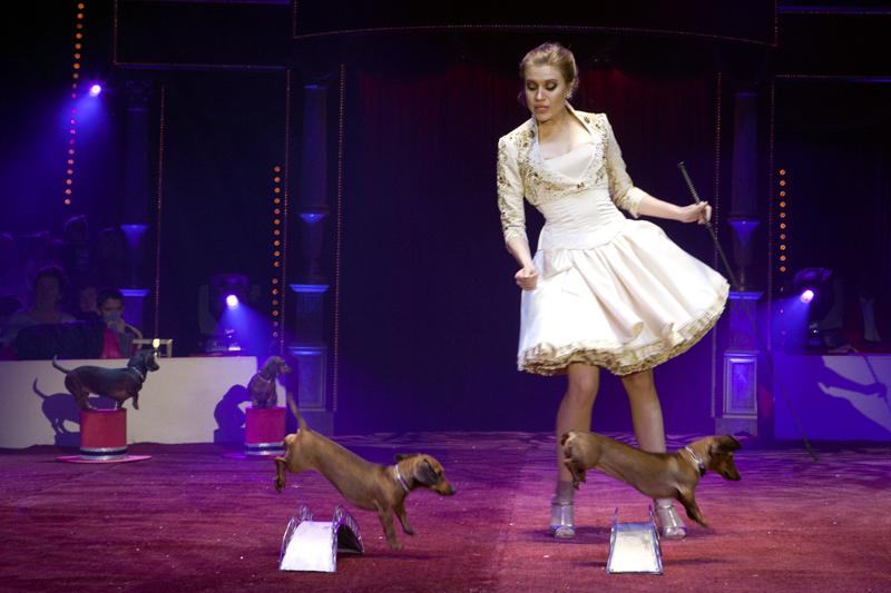 Nouveau spectacle Eclat au cirque d’hiver Bouglione !