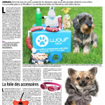 Le Parisien et les accessoires pour chien