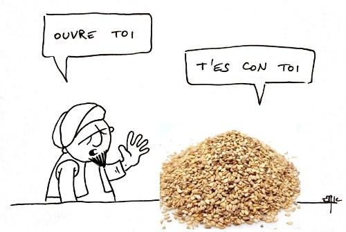 sesame ouvre toi