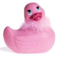 Le canard coquin et la Constitution