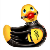 Le canard coquin et la Constitution