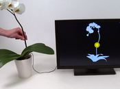 Botanicus Interactus: plante fait office souris