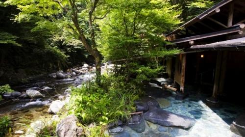 charming-ryokan-japan-asebino-river.jpg