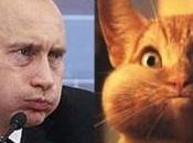 Rubrique chat: n’est Poutine?