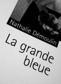 « La grande bleue » un roman de Nathalie Démoulin : le portrait vrai d’une petite gonzesse de la France d’en bas qui veut voir la mer…