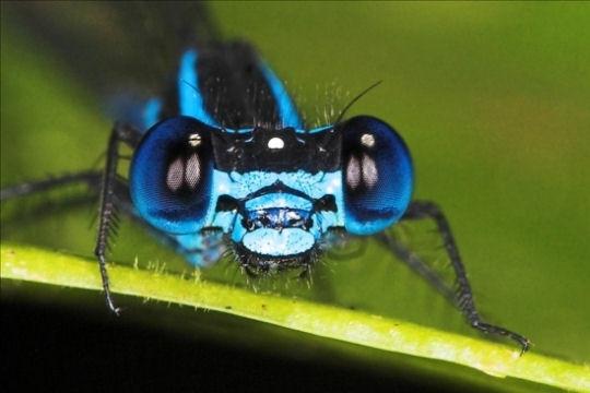 Voyage aux Antilles française