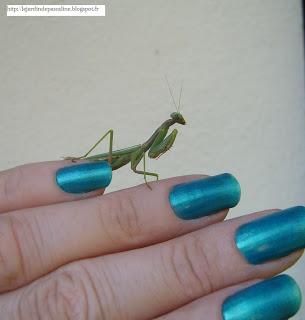 Les récompenses du jardin