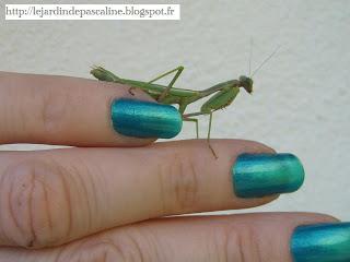 Les récompenses du jardin