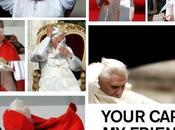 entre brebis, sort brebis