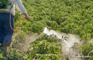 Santé : pour le Sénat, la dangerosité des pesticides est sous-évaluée