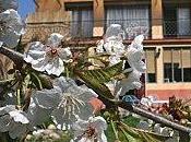 Petite-annonce Vends villa coup coeur