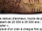 INTERLUDE MERCREDI: Voyage dans mystère nombres conjecture (1ère partie)