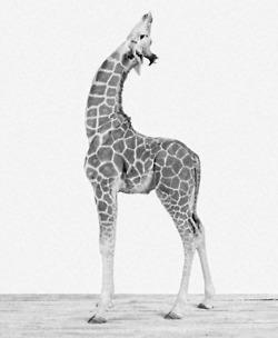 The Future Is Exciting