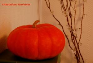 Une citrouille, de la tambouille  part 1 !