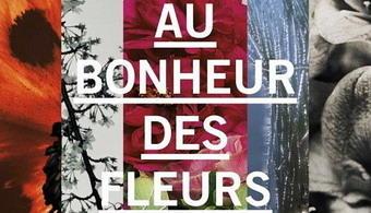 Au bonheur des fleurs - Pavillon Populaire à Montpellier