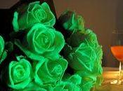 Nouveauté: roses lumineuses dans noir.