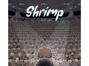 Shrimp couleur l’éternité
