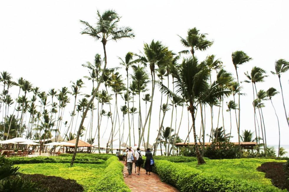 Dans Les Amériques: chapitre 0.